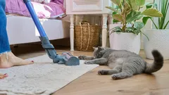 5 Tipps, die Ihnen helfen, Ihr Zuhause ohne großen Aufwand in Ordnung zu halten