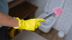 Wie oft sollte man die WC-Bürste wechseln? Expertenmeinungen gehen auseinander