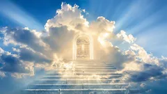 Ein Harvard-Physiker hat den genauen Ort des Paradieses im Universum gefunden