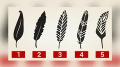 Die Feder, die Sie als erstes auswählen, sagt mehr über Ihre Persönlichkeit aus als ein Psychologe