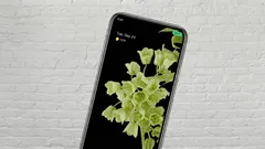 Plötzlich leuchtet ein grüner Punkt auf dem Handybildschirm: Muss man sich Sorgen machen?